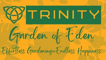 Trinity I.C.R Enterprises